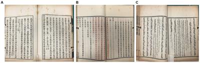 Microbes on the “peachy spots” of ancient Kaihua paper: microbial community and functional analysis